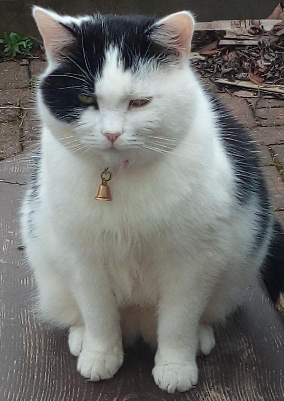Lost — Hanwell 