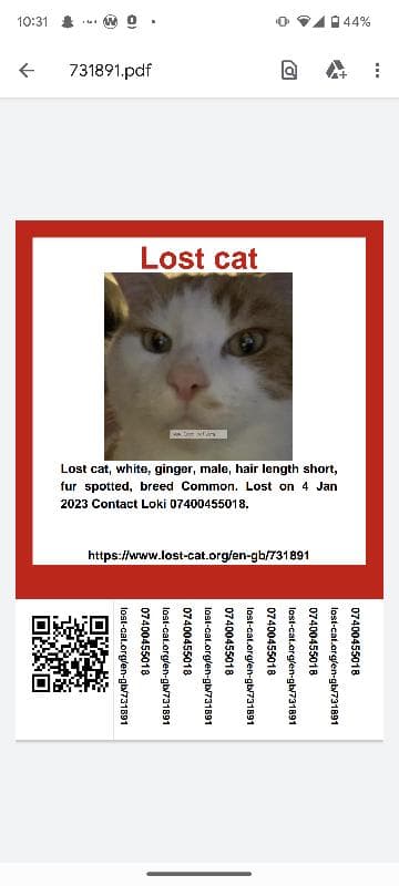 Lost — Rm81lb 