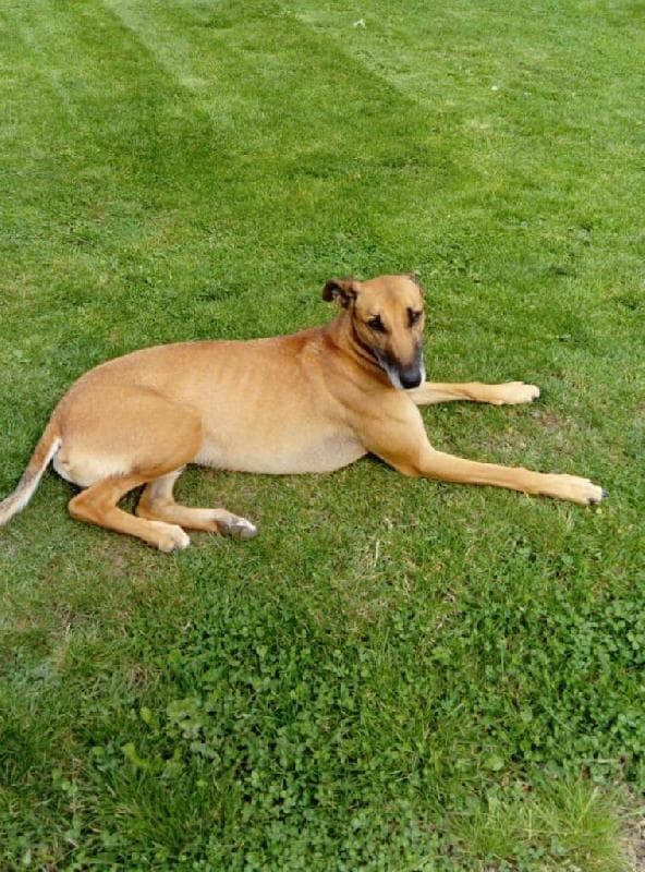 Lost — WR15 tenbury wells
