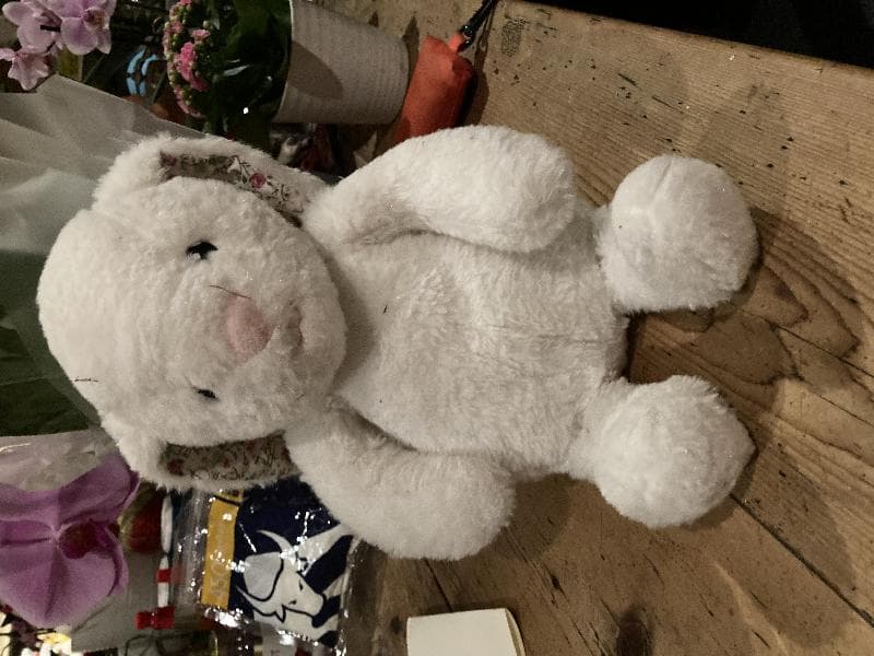 Found — New Kings Road near Eelbrook Common, Fulham, London