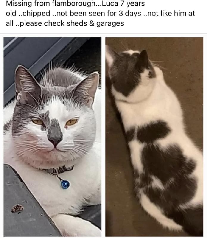 Lost — Stottlebink Flamborough YO15 1NX 