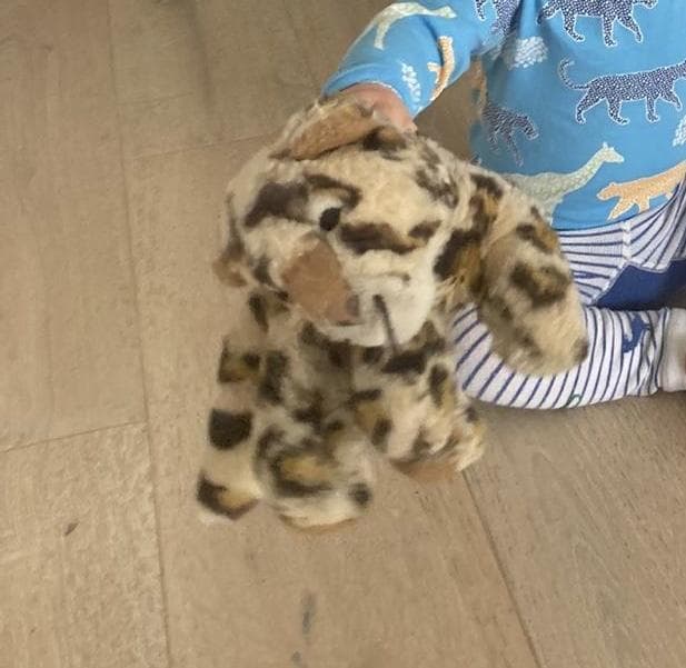 Lost — 390 Streatham High Road, London SW16 6HX