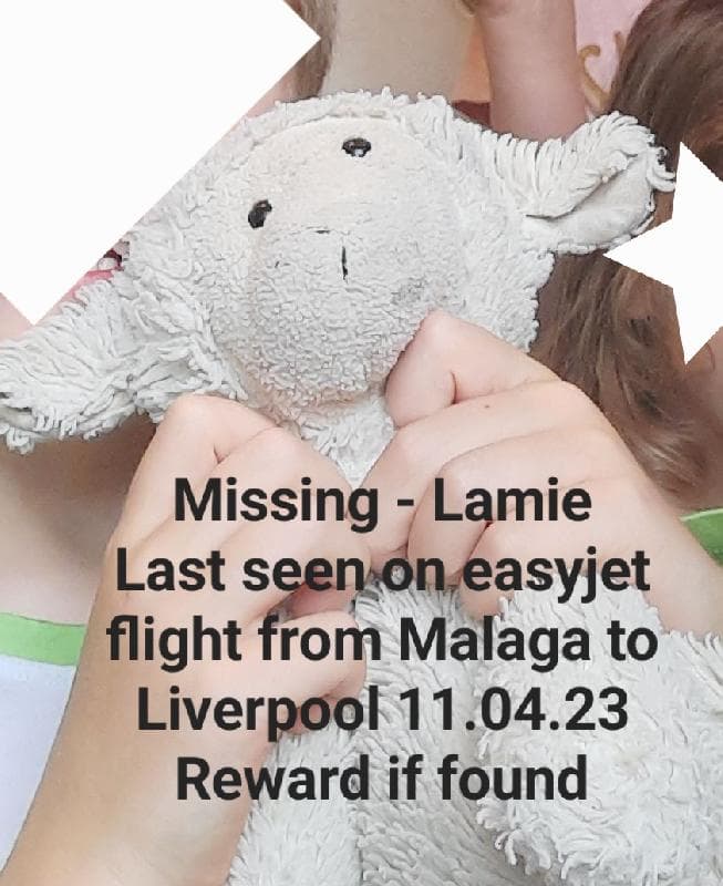 Lost — EasyJet flight Malaga