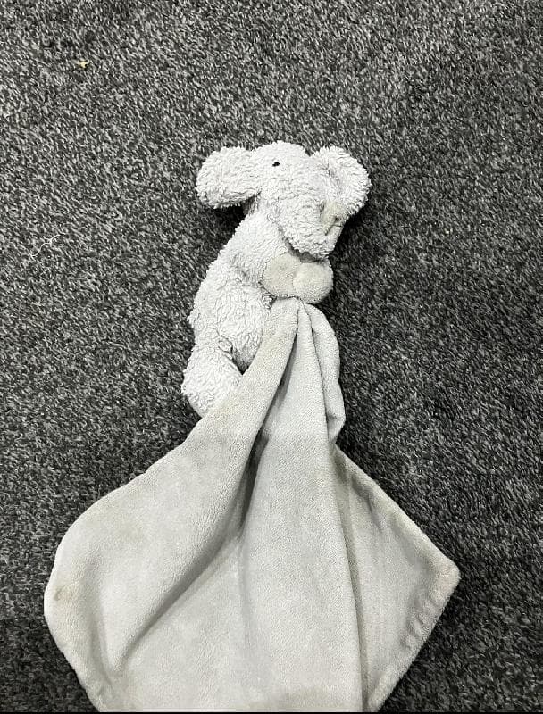 Lost — PENZANCE CORNWALL