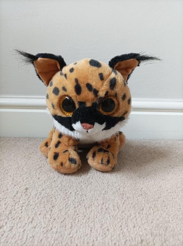 Lost — 14 East Pilton Farm Crescent