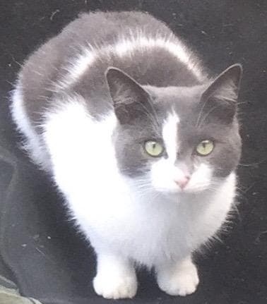 Found — 73 Alicia Gardens, Harrow, HA3 8JD