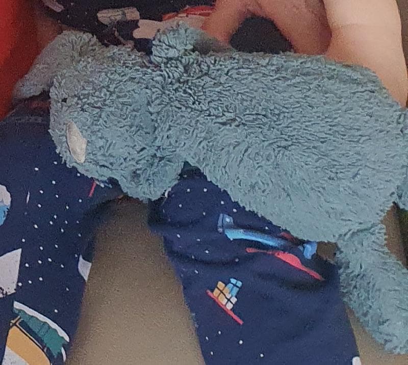 Lost — Herne Hill, West Dulwich or Belair Park, London 