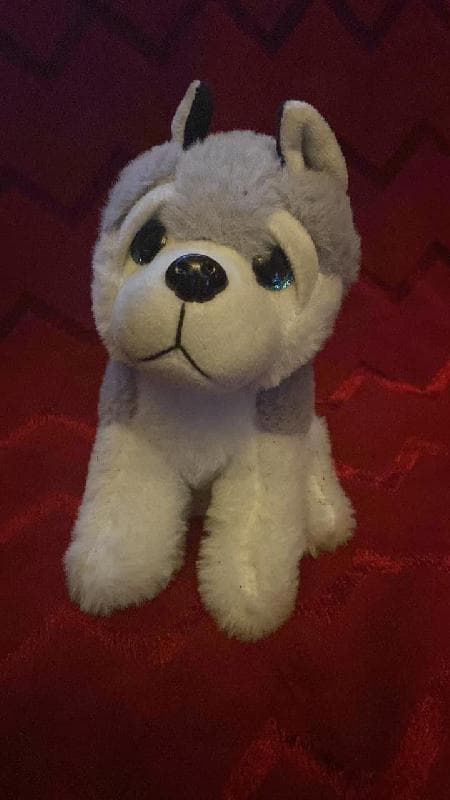 Found — Dorchester Road, Blandford Forum