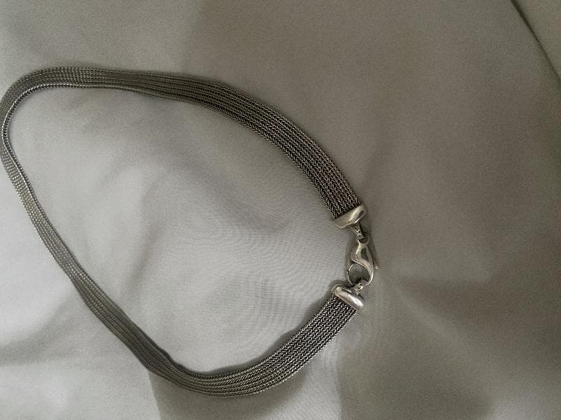 Lost — SW London OR Lymington area