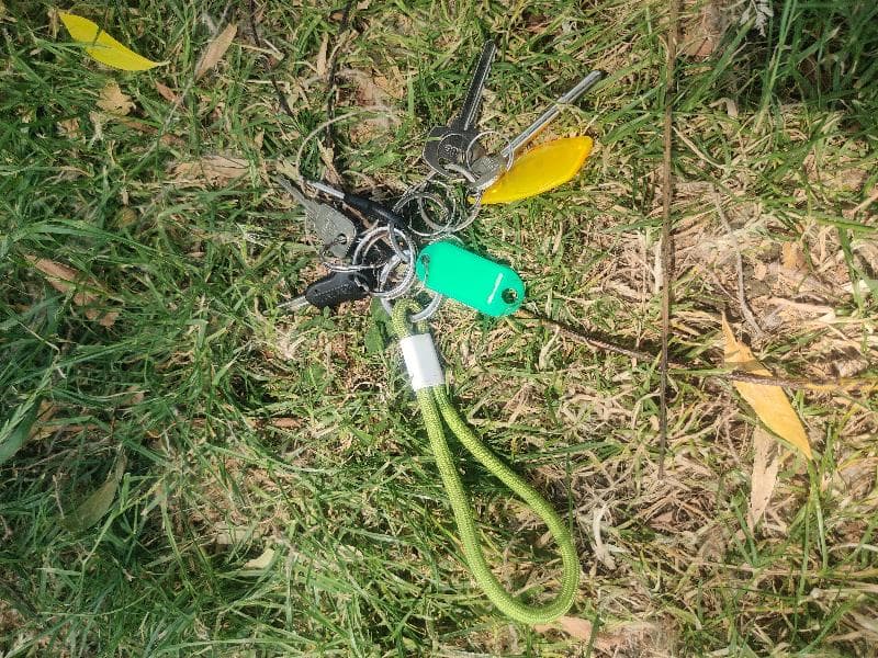 Found — Hampstead Heath