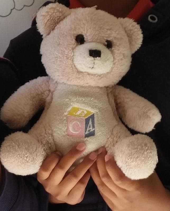 Lost — The Children’s Hospital at Westmead