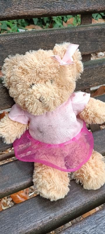 Found — Villa Borghese Park Rome Italy 