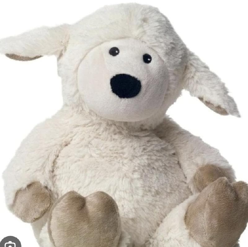 Lost — Edinburgh, Bruntsfield/Morningside or 11 bus