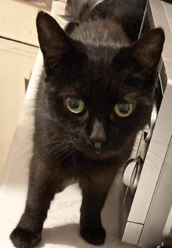 Lost — Rowanberry avenue LE36PN