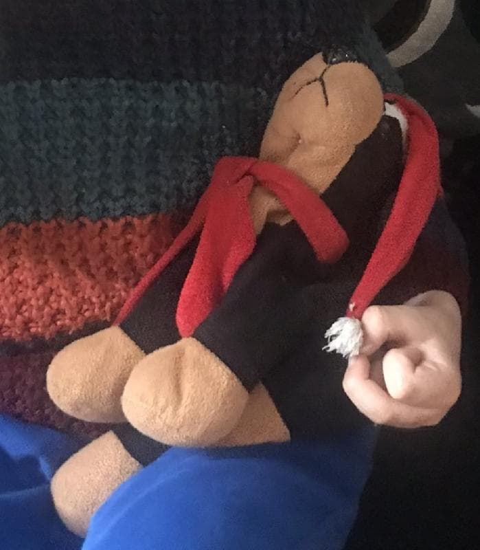 Lost — Bristol, Combe Down or Podimore services 