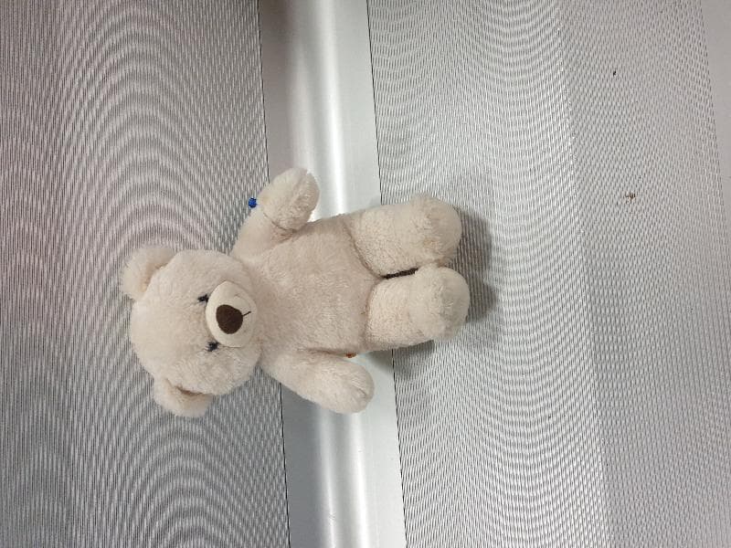 Found — Melbourne, Southern Cross bus terminal 