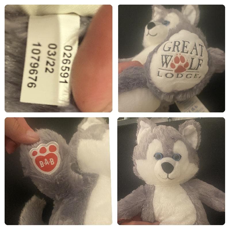 Found — Orlando, FL