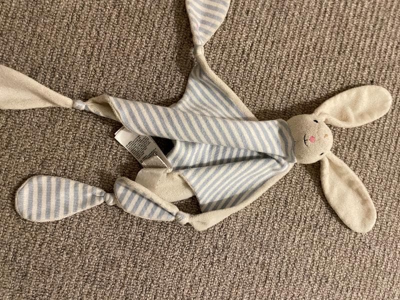 Lost — Peckham Rye Common