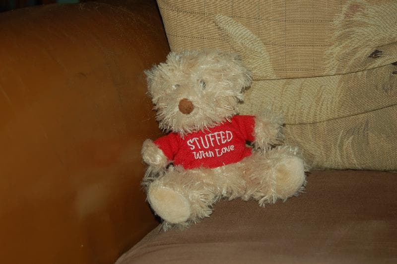 Found — field beside river Clyde at Libberton