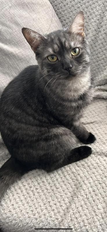 Lost — 70 pargeter rd
