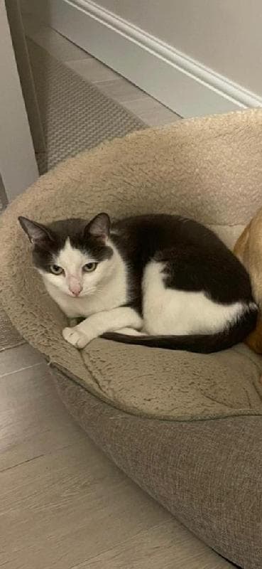 Lost — Chingford, E4