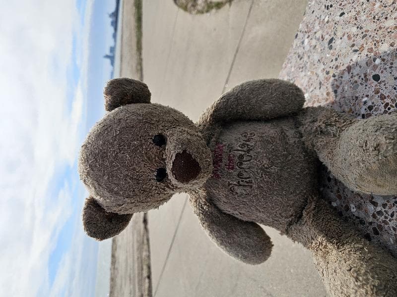 Lost — 4302 Surfside Blvd, Corpus Christi, TX 78402