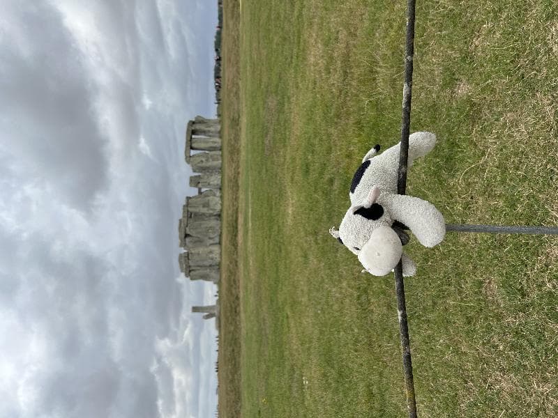 Lost — Royal Free London