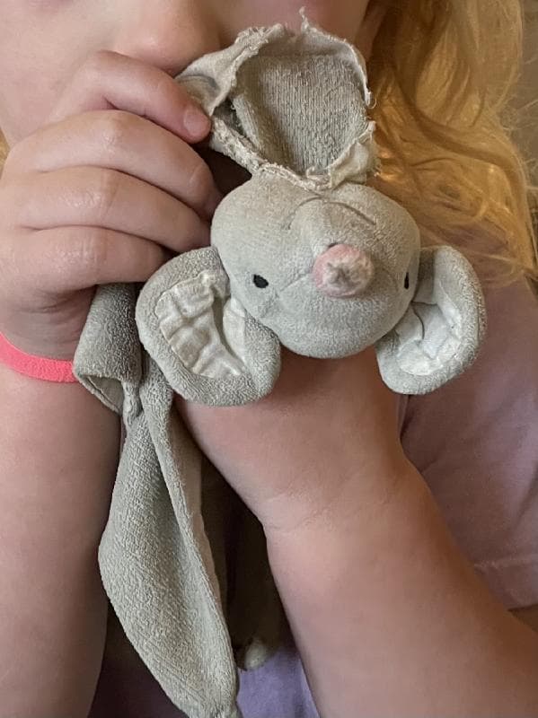 Lost — Cookham, Maidenhead