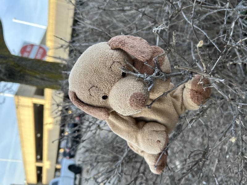 Found — Woodfield Mall, Schaumburg, IL, USA