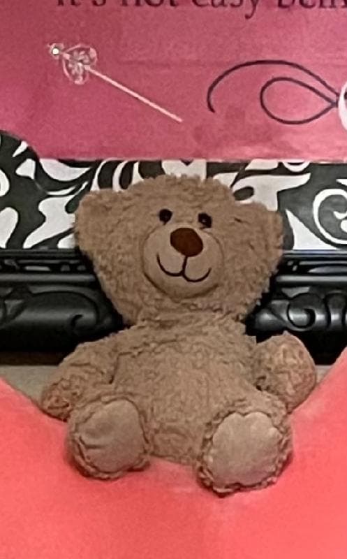 Lost — Buc-ee’s in Madisonville, TX