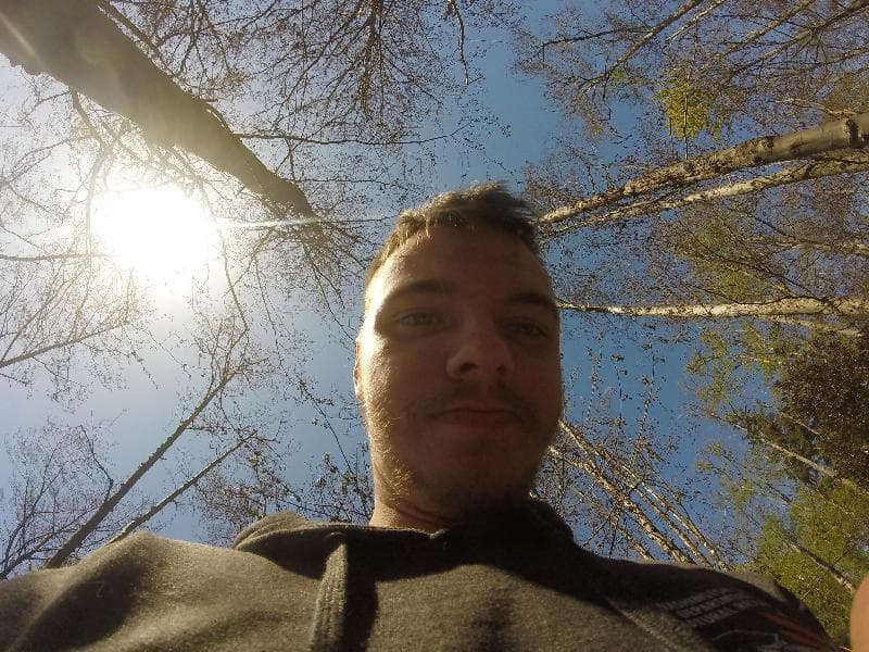 Found — Bellingham, WA