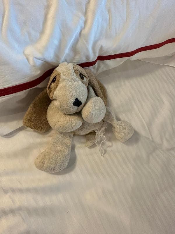 Lost — Explorers Lodge Hotel, Disney Hong Kong