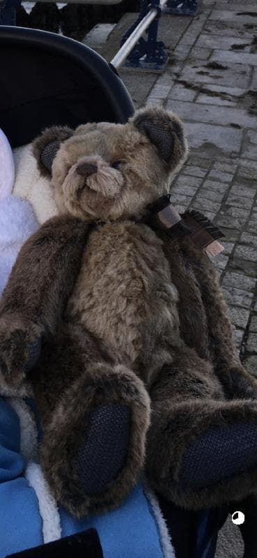 Lost — Queen Elizabeth Gardens, Salisbury, Wiltshire, UK