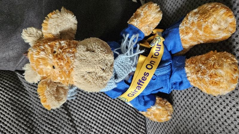 Lost — Northamptonshire UK