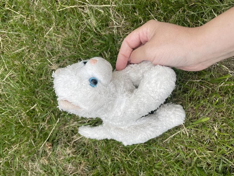 Found — De Beauvoir Sq, N1