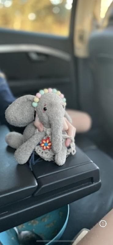 Lost — Dubai Airport EK 714 Lusaka to Dubai- or term 3