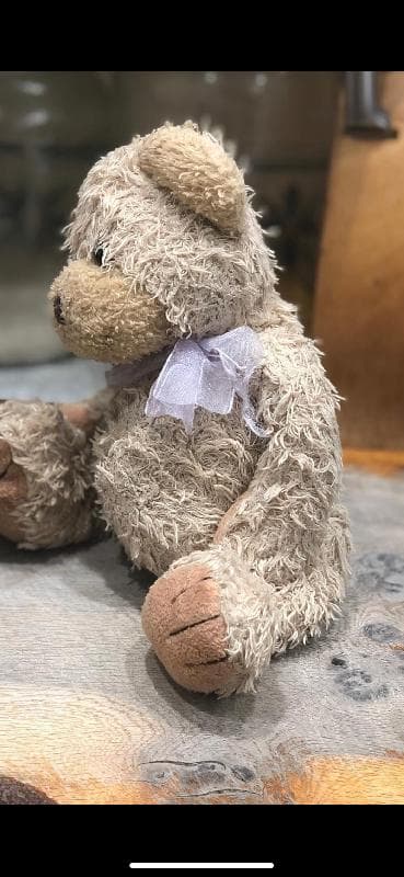 Lost — Hull Road Blackpool 