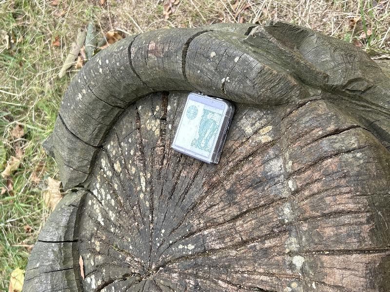 Found — Regent's Park
