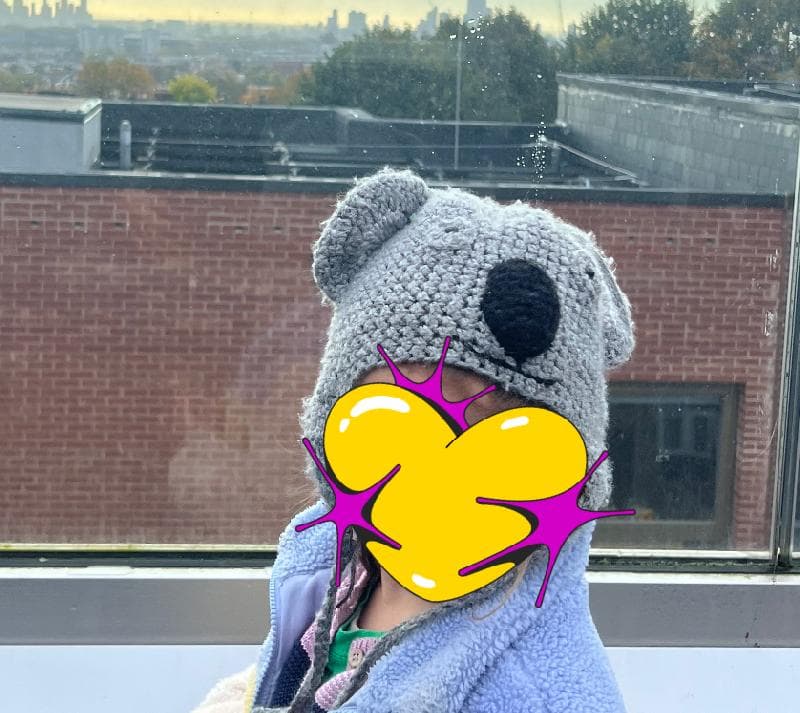 Lost — Nassington Road Hampstead Heath London NW3 2TX