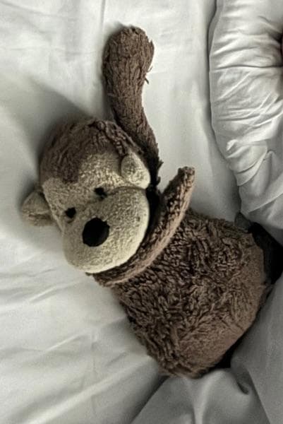 Lost — 145 Haydons Rd, London SW19 1AN, UK