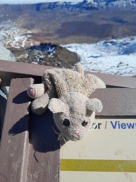 Found — Mount Teide, 38300, Santa Cruz de Tenerife, Spain