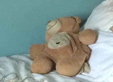 Lost — Aéroport Chambéry Savoie Mont Blanc, Rte de l'Aéroport, 73420 Viviers-du-Lac, France