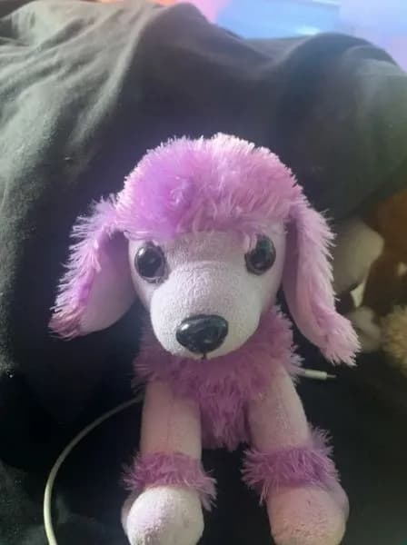 Lost — Freeman St, Grimsby DN32, UK