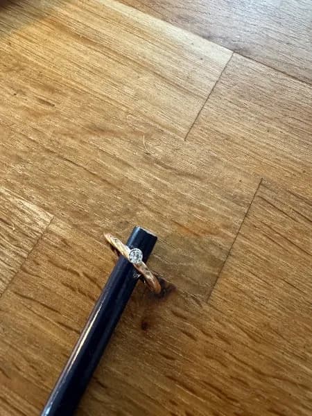 Found — Hyde Park, London, UK