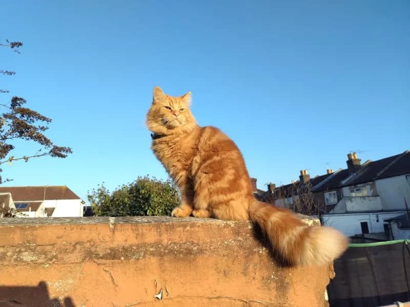 Lost — Queens Road, Fratton, Portsmouth PO2 7PD, UK