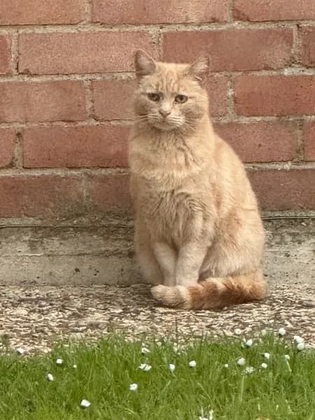 Found — Rowan Cl, Guildford GU1 1PW, UK