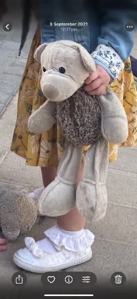 Lost — Alicante-Elche Miguel Hernández Arpt (ALC), Av. de l'Altet, 03195 Elx, Alicante, Spain