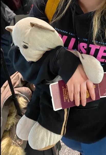 Lost — pastures country park, 11 silver birch way, Skirlaugh, Willow HU11 5AE, UK