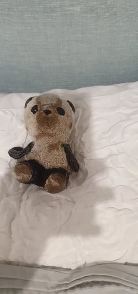 Lost — Speke Aerodrome, Airport, Liverpool L24 8QD, UK
