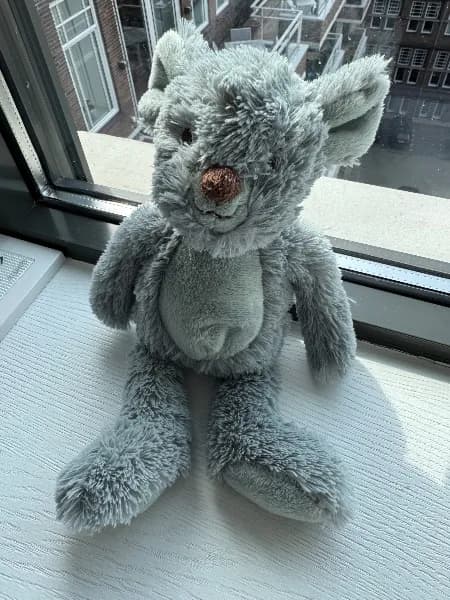Lost — Queen Beatrix International Airport (AUA), Sabana Berde 75, Oranjestad, Aruba